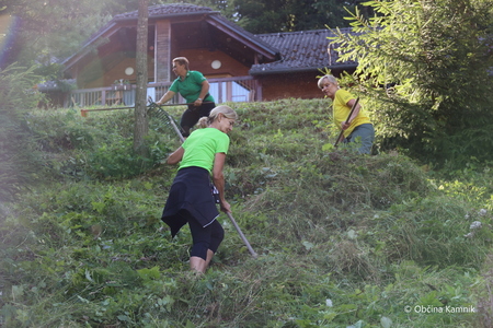 Košnja po starem (12)